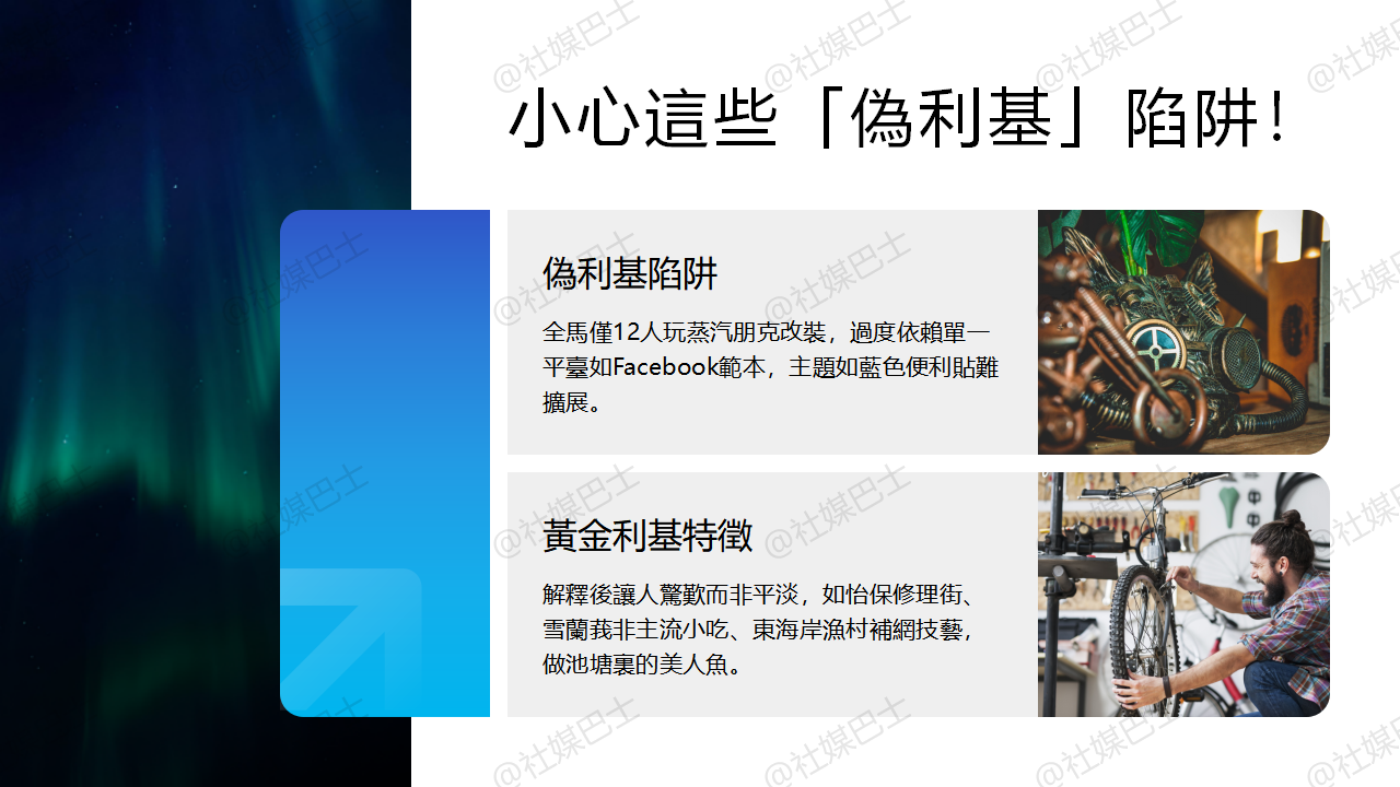 小眾也是機會，如何為欄目IP找到專屬利基市場插图2