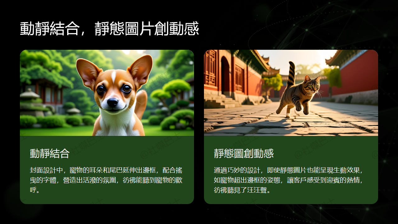 封面圖與頭像的設計細節,決定粉絲的第一印象插图1 封面圖與頭像的設計細節,決定粉絲的第一印象插图1